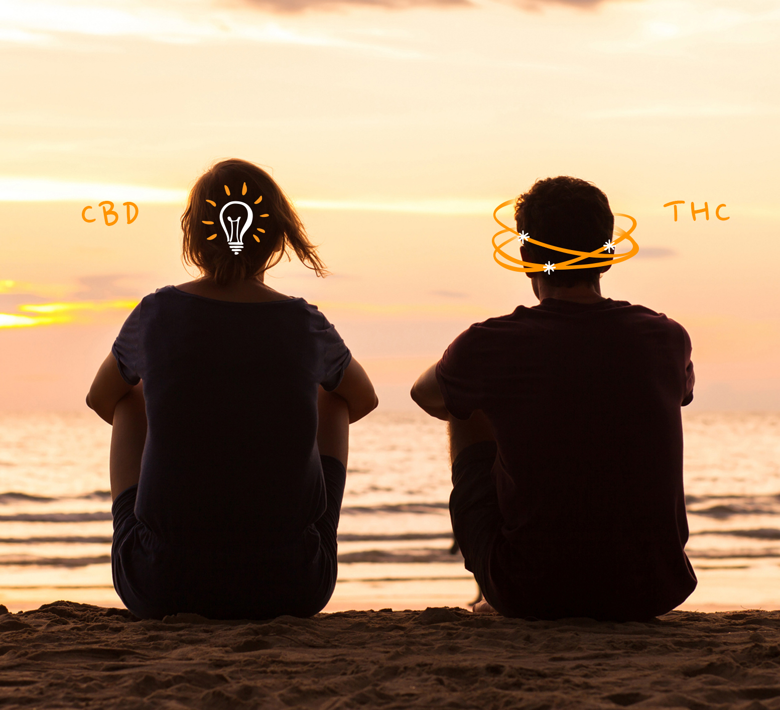 Two silhouetted figures at sunset, one labeled THC with a spinning head indicating intoxication, and one labeled CBD with a lightbulb indicating clarity